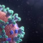 Visualization of the Coronavirus